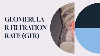 Understanding Glomerular Filtration Rate Renal Function Test [upl. by Auroora538]