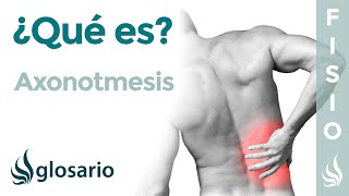 AXONOTMESIS  Qué es qué afecta síntomas signos clínicos causas y tratamiento fisioterapéutico [upl. by Aekerly]