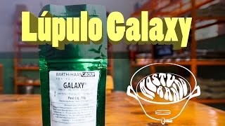 Lúpulo Galaxy  o LÚPULO pica das galáxias [upl. by Billen963]