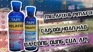 Vlog 023  Cặp đôi hoàn hảo Pimafix amp Melafix đa công dụng  Pimafix and Melafix of API [upl. by Drais346]