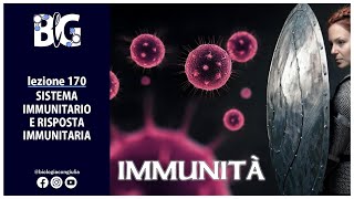 SISTEMA IMMUNITARIO e RISPOSTA IMMUNITARIA [upl. by Cinamod560]