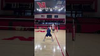 Best drills for setters [upl. by Irbmac130]