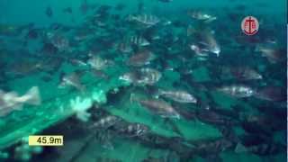 Underwater video of the wreck of the hospital ship Warilda torpedoed in the English Channel [upl. by Namreg]