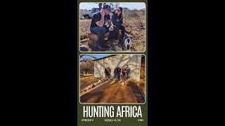 HUNTING IN AFRICA  WEEKLY VLOG  EPISODE 9 [upl. by Esenaj]