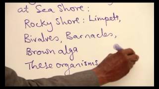 ADAPTATION OF ORGANISMS TO MARINE HABITAT PART 1 [upl. by Chuch]