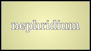 Nephridium Meaning [upl. by Anoirtac701]