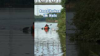 Angelhaken im Hals tierrettung animalrescue tiernotruf schwan [upl. by Henebry]