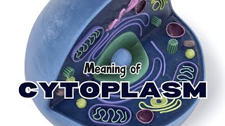 What is the meaning of Cytoplasm [upl. by Nebur]