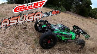 Team Corally Asuga XLR 6s OVERSIZED buggy Roller version need a better servo😬 teamcorally [upl. by Arayk]