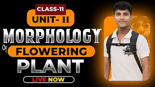 MORPHOLOGY OF FLOWERING PLANTS CLASS 11  NCERT DEEP LINES  COMPLETE NCERT FOR NEET 2025 [upl. by Ennayllek]