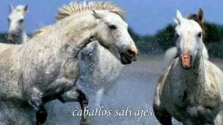 wild horses  Rolling Stones traducido [upl. by Orlosky]