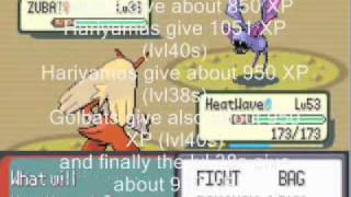 Pokemon Emerald Level Up Guide before the Elite Four  Levels 4060 [upl. by Niroc777]