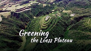 Greening the Loess Plateau [upl. by Annaya]