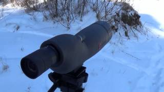 Simmons 2060x60mm Spotting Scope quotWhy you need onequot [upl. by Carlos]