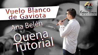 Vuelo Blanco de Gaviota  Ana Belen  Quena Tutorial [upl. by Aknaib944]