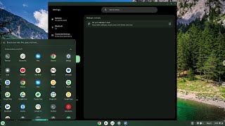 How to enable a Dark Theme on a Chromebook [upl. by Birkner]