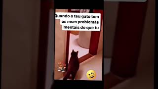 Quando o teu gato tem o mesmo problema mental do que tu 😅😅😅😅😅😅😅😅 [upl. by Nosittam]