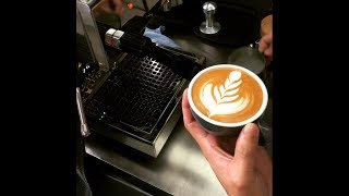 Profitec Pro 300  Making a Flat White [upl. by Caitrin600]