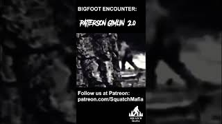 Patterson Gimlin Film 20 [upl. by Laundes89]