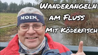 WANDERANGELN KÖDERFISCH an freier LEINE [upl. by Aicenat]