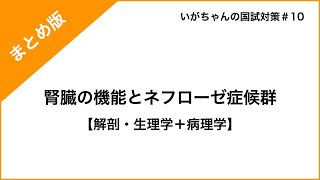 腎臓の機能とネフローゼ症候群【まとめ版】 [upl. by Elleuqar]