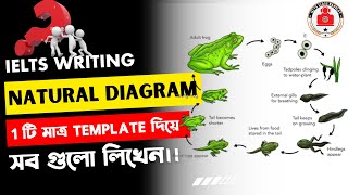 ielts writing task 1 Natural Diagram class bangla।।ielts class banglay bd [upl. by Seta]