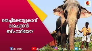 ആനച്ചന്തം എല്ലാം ഒത്തിണങ്ങിയ തെച്ചിക്കോട്ടുകാവ് രാമചന്ദ്രൻ Thechikkottu Ramachandran  Kairali TV [upl. by Aicrag]