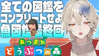 【あつ森】全ての図鑑をコンプリートせよ魚図鑑編 THE FINAL【新人vtuber  弐十】 [upl. by Vetter818]