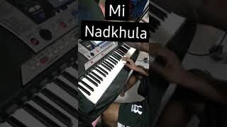 Tichya mage zhaluya pagal MI Nadkhula cover song  Prashant nakati  shorts [upl. by Quackenbush]