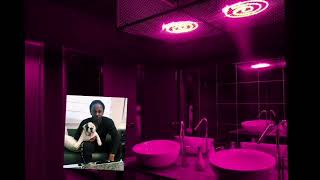 Wesleys Theory by Kendrick but youre in a club bathroom [upl. by Eizus]