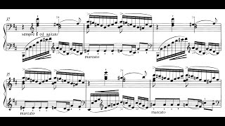 Liszt Sonata in B Minor S178 Grynyuk [upl. by Ekalb]