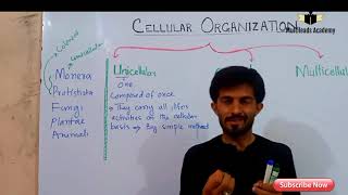 Introduction to biology Lec 7 Unicellular colonial and multicellular organization by Ahsan Baloch [upl. by Folsom]