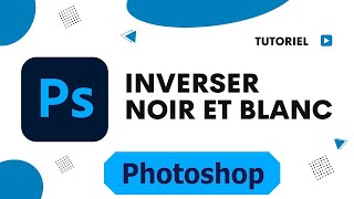 Comment inverser noir et blanc Photoshop [upl. by Ethbun]