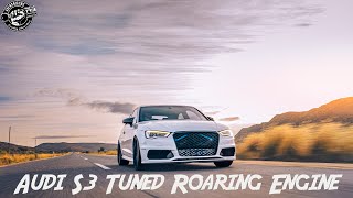 Audi S3 Tuned Roaring Engine Mad Lows and more😉 [upl. by Rohn884]