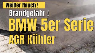 BMW AGR Kühler oder Zylinderkopfdichtung defekt weißer Rauch aus dem Auspuff  Diesel F11 525d [upl. by Hedvah]