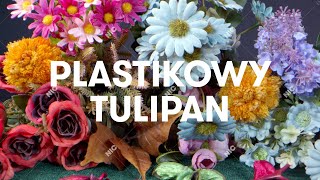 Sokół  Plastikowy tulipan Official Audio [upl. by Adler106]