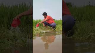 Mar Gaya funnyvideo comedy funnyshorts original voice bangli video Bengali voice [upl. by Avilo]