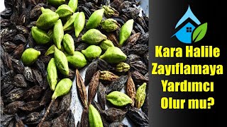 Kara Halile Zayıflamaya Yardımcı Olur mu Diyet İçin Faydaları ve Kullanımı [upl. by Ulysses]