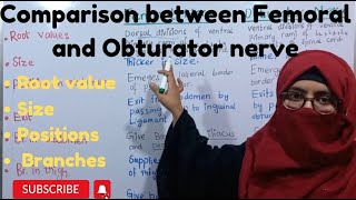 Comparison between Femoral and Obturator nerve  lower limb anatomy  Ayesha Medical Education [upl. by Tema1]