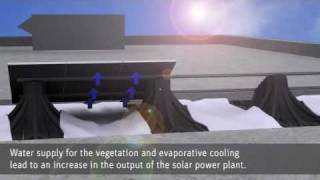 green roof photovoltaic solar power SolarGreenRoof Optigreen green roofs [upl. by Nickelsen]