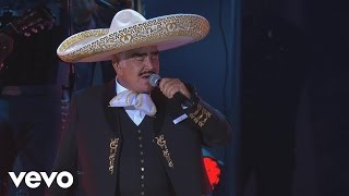 Vicente Fernández  Hermoso Cariño En VivoUn Azteca en el AztecaVersión Editada [upl. by Aniham]