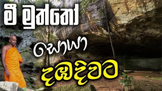 මීමුත්තෝ සොයා දඹදිවට [upl. by Hedi823]