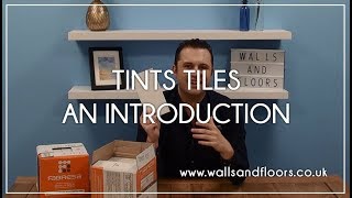 Tints Tiles  An Introduction [upl. by Llecrad894]