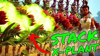 How To STACK XPLANTS in Ark Survival Ascended MORE DAMAGE [upl. by Sicard]