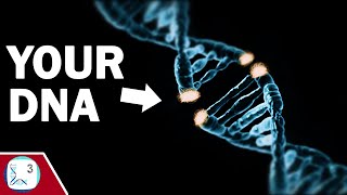 Why do Transposable Elements Break our DNA [upl. by Tioneb]