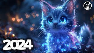 Music Mix 2024 🎧 EDM Mixes of Popular Songs 🎧 EDM Bass Boosted Music Mix 220 [upl. by Alolomo646]