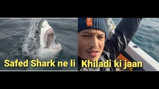 Safed Shark ne li Khiladi ki jaan [upl. by Kuehn]