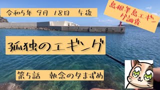 【孤独のエギング part5】執念でイカを釣った日。今年は当たり年？はずれ年？どっちなんだい！【島根半島】エギング 島根半島 アオリイカ [upl. by Meris]