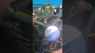 CPU installation intel i3 3220 shorts [upl. by Aisad495]