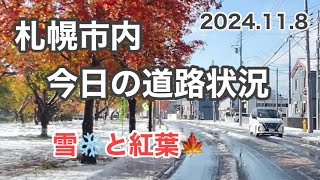 【札幌雪】札幌市内の風景や道路状況 [upl. by Archambault]